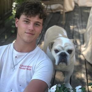 hey i’m Harry Reeds